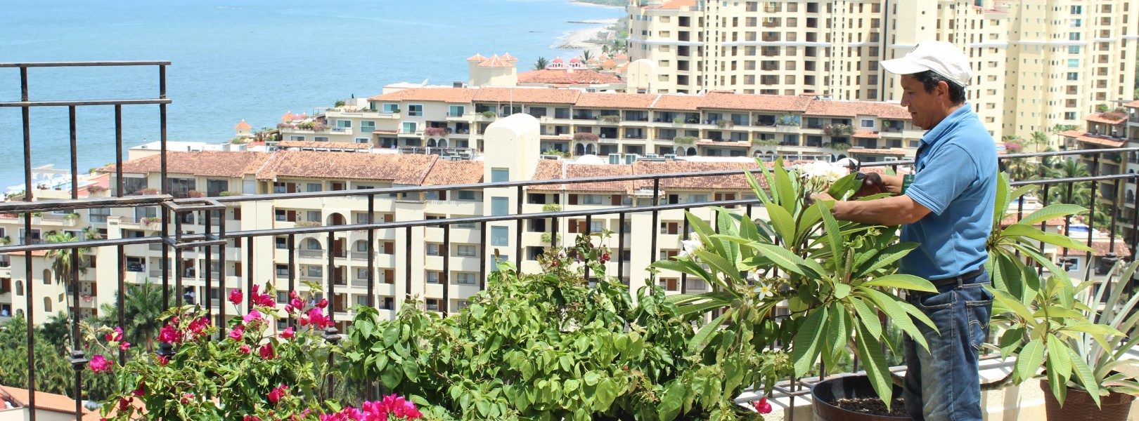 Real Estate Services